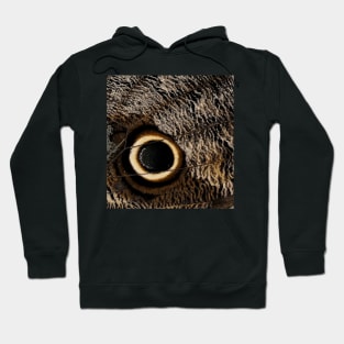 Eye of the butterfly Hoodie